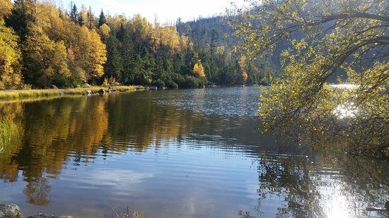 Plešné jezero