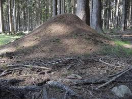 Čertova stráň