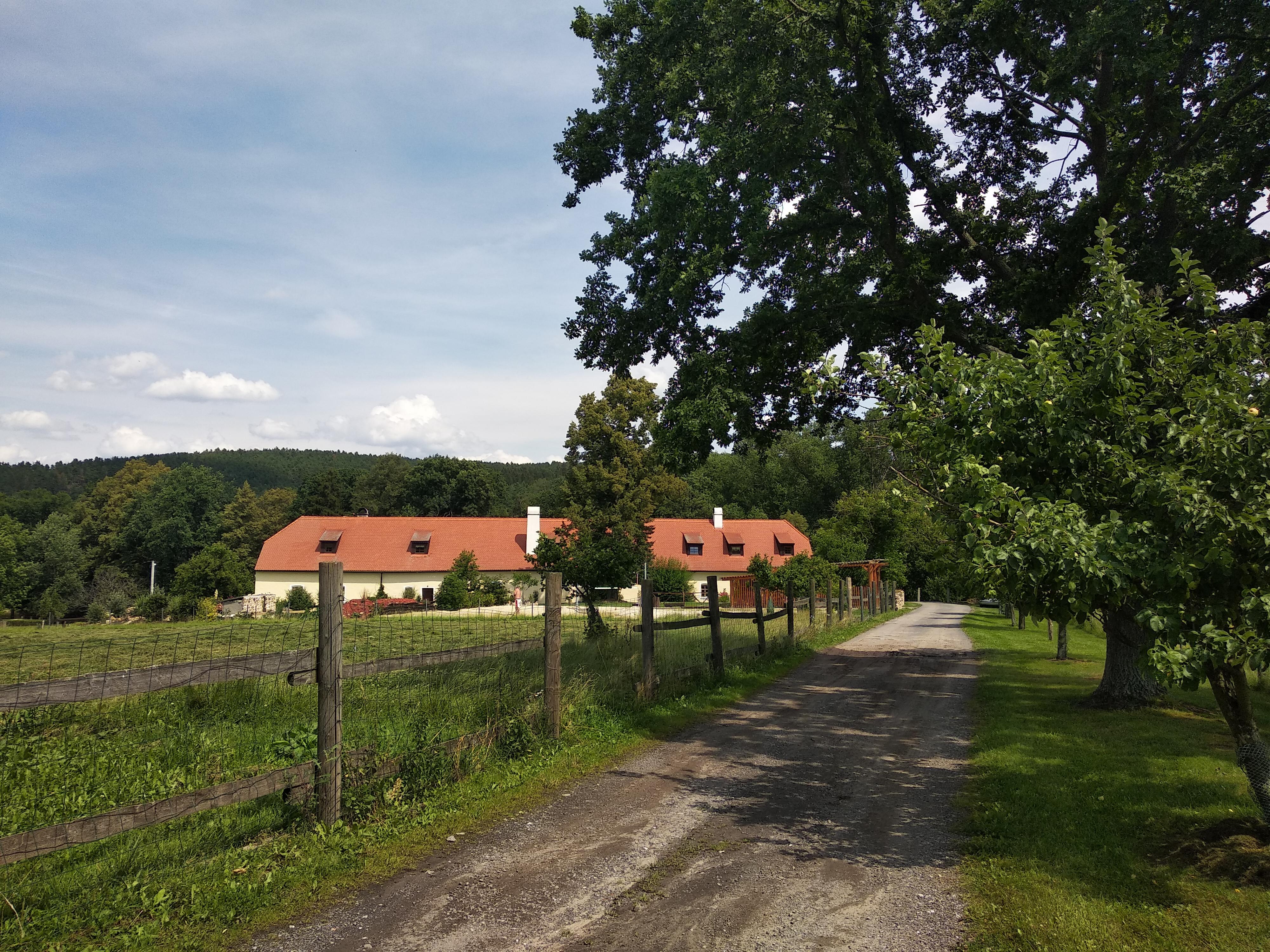Jedraž