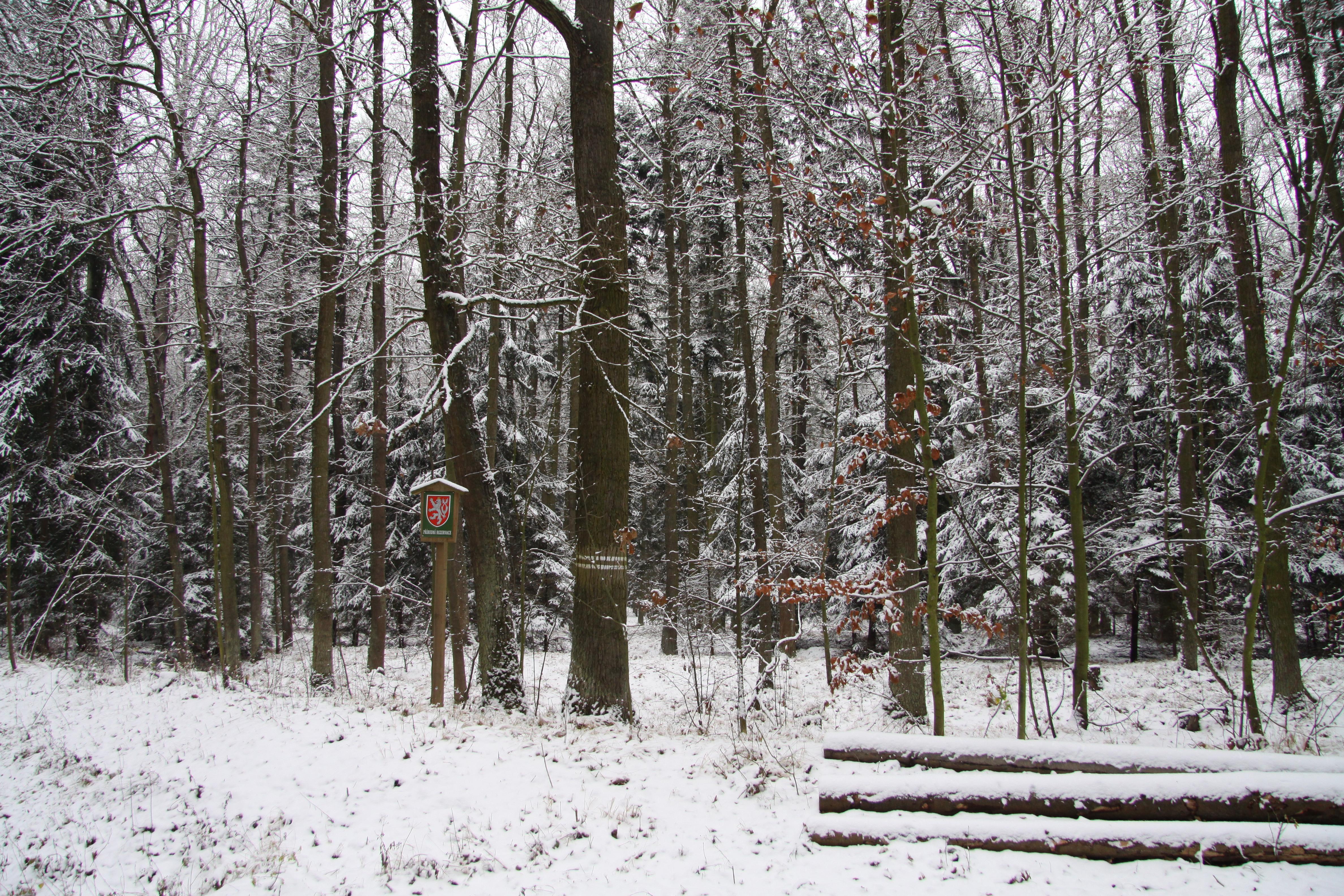 Míchov
