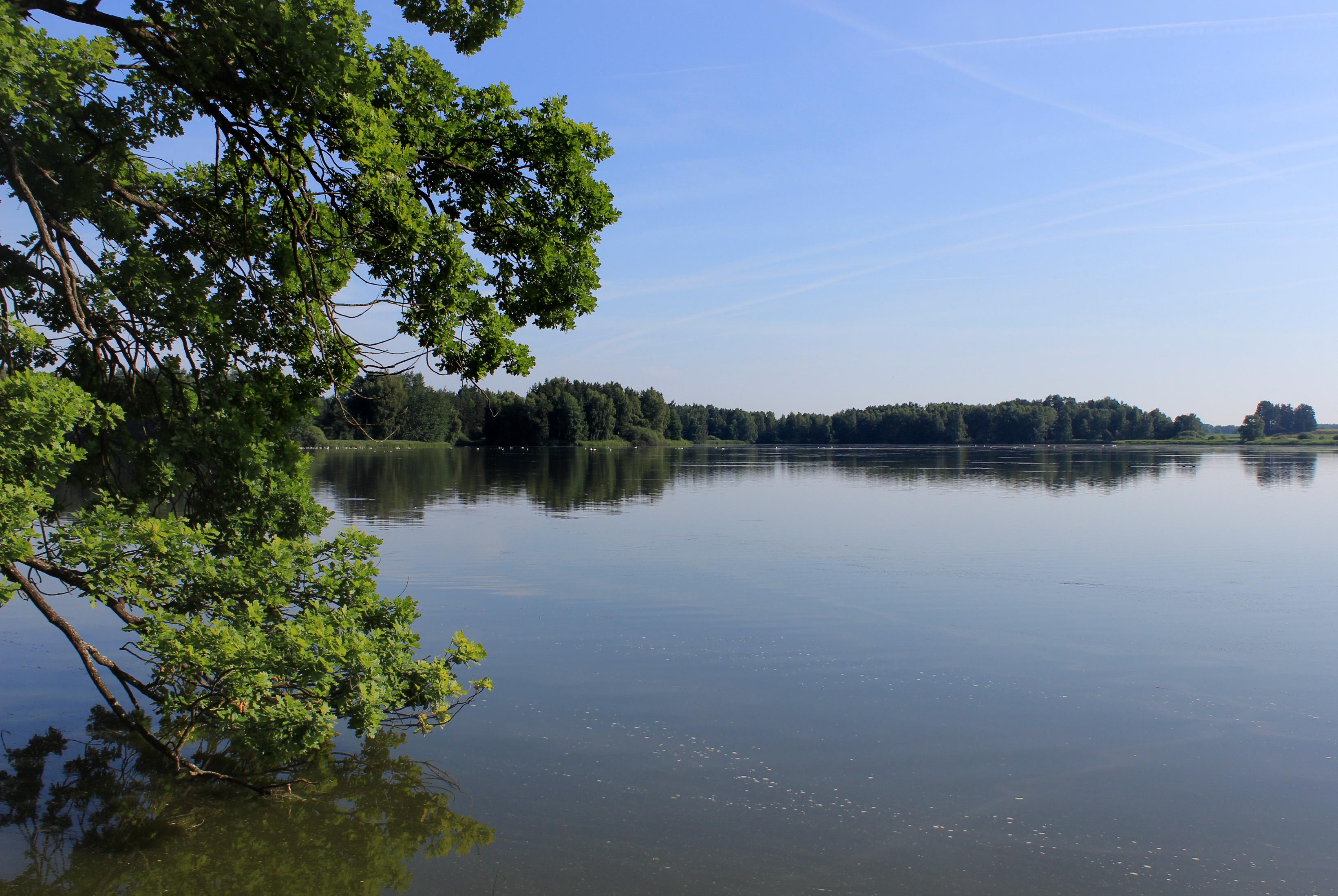 Vlkovský rybník