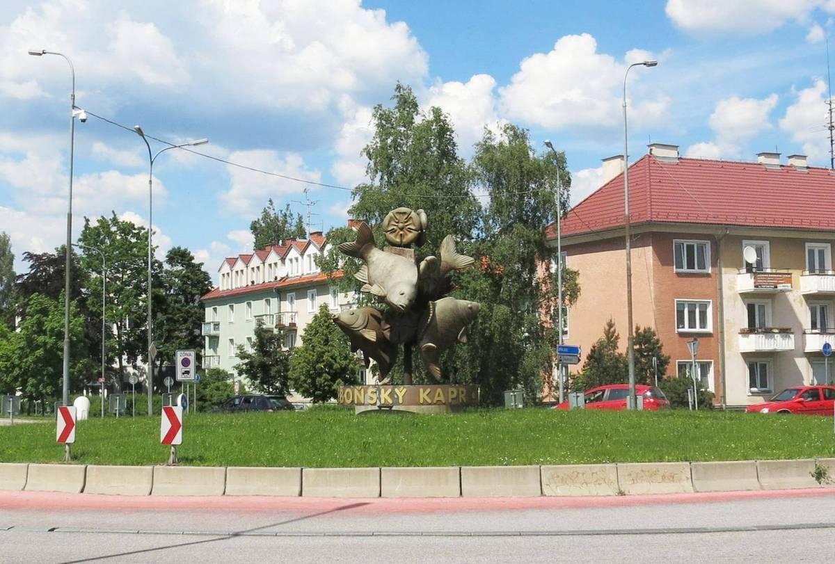 Třeboňský kapr