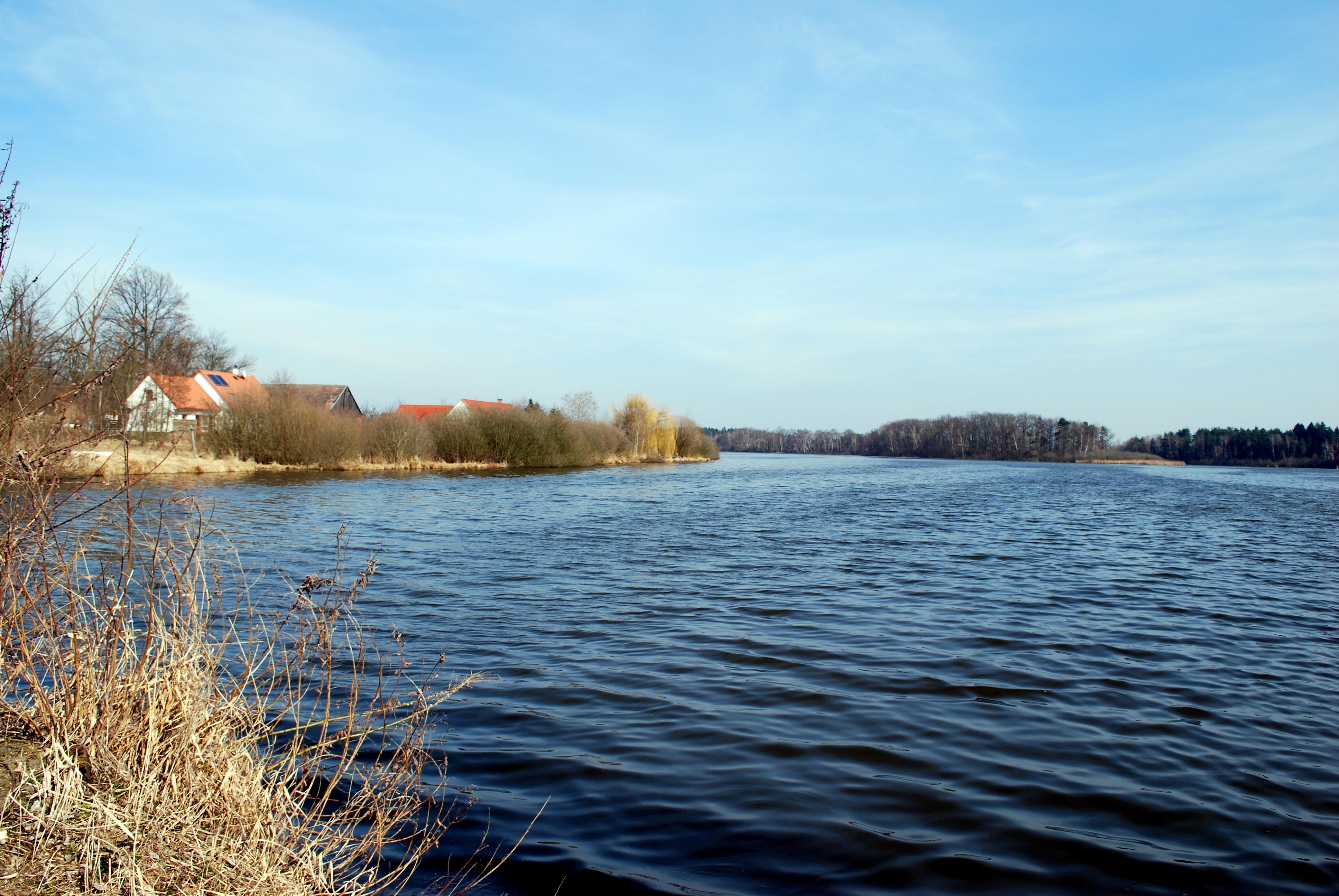 Ponědražský rybník
