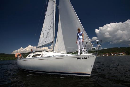 Noe's Sailing