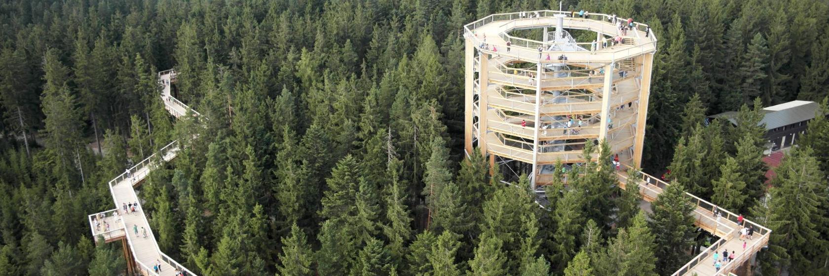 Stezka korunami stromů Lipno