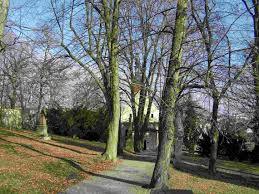 Park Pod Kotnovem